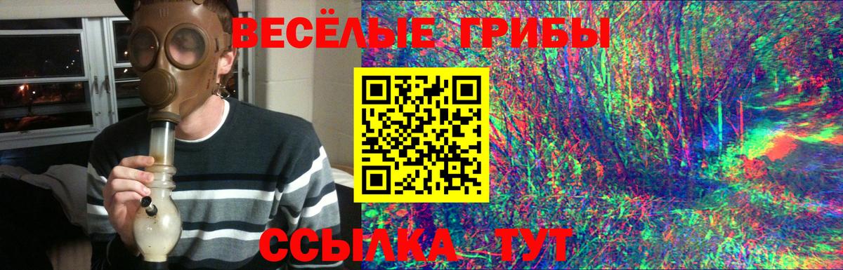Сегежа  Галлюциногенные грибы MAGIC MUSHROOMS  Вход с VPN  Псилоцибиновые грибы GOLDEN TEACHER 
