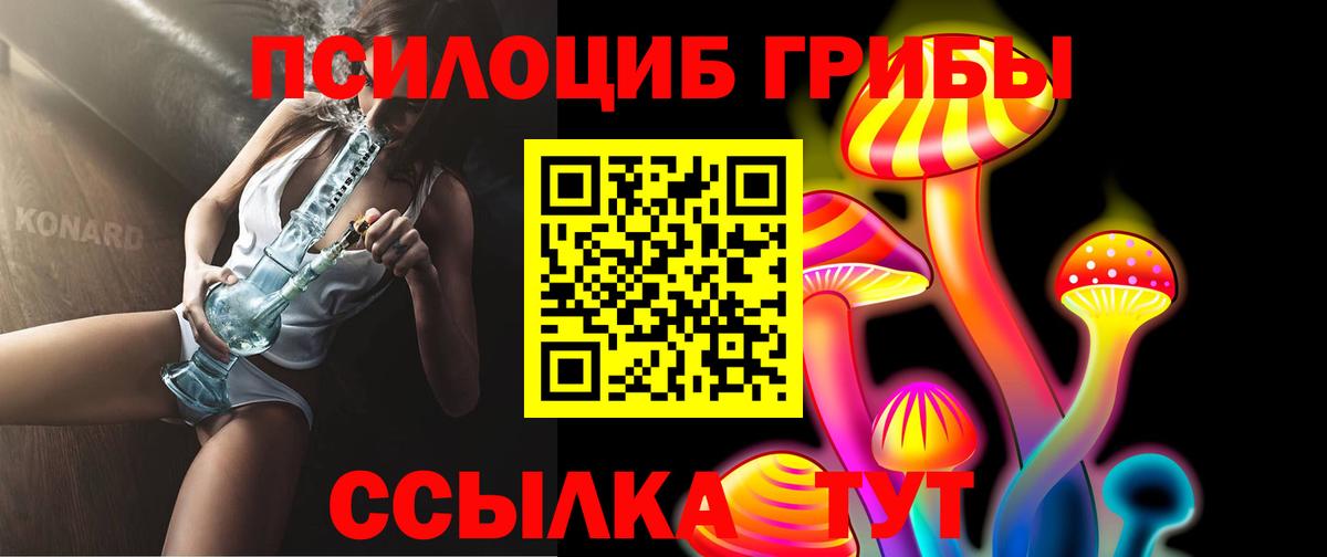 Псилоцибиновые грибы Psilocybe Сегежа